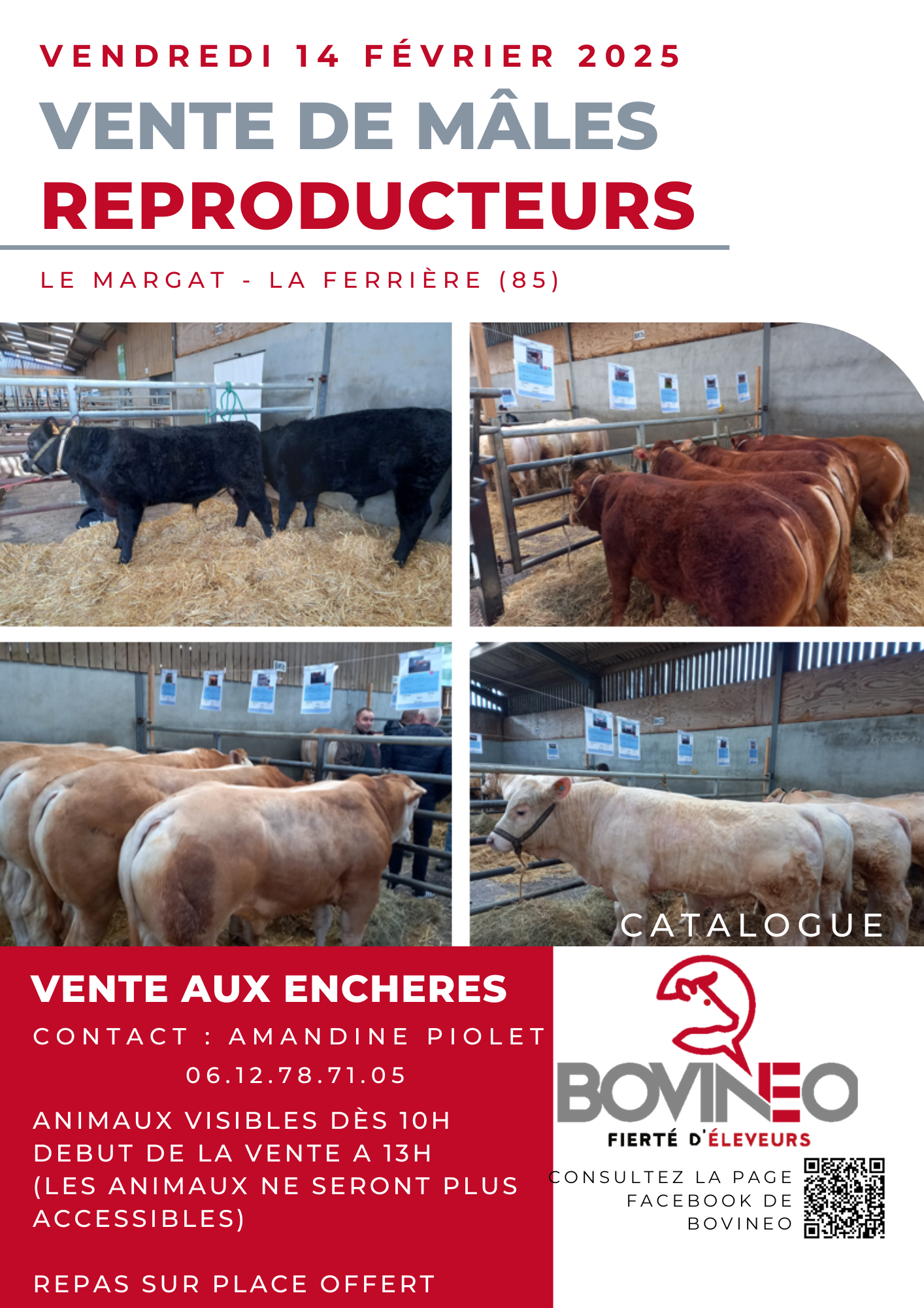 Partenaires Vente Bovineo